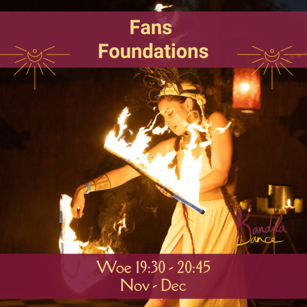 Fans Foundations - Afbeelding 2