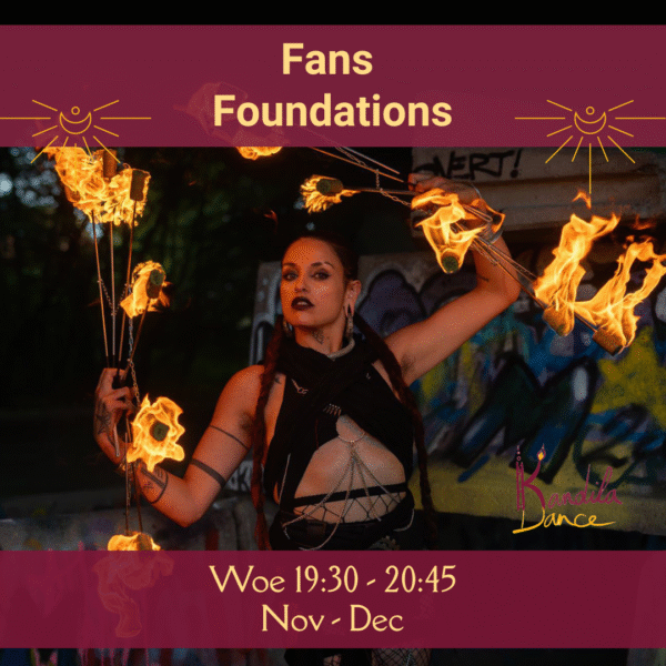 Fans Foundations - Afbeelding 3