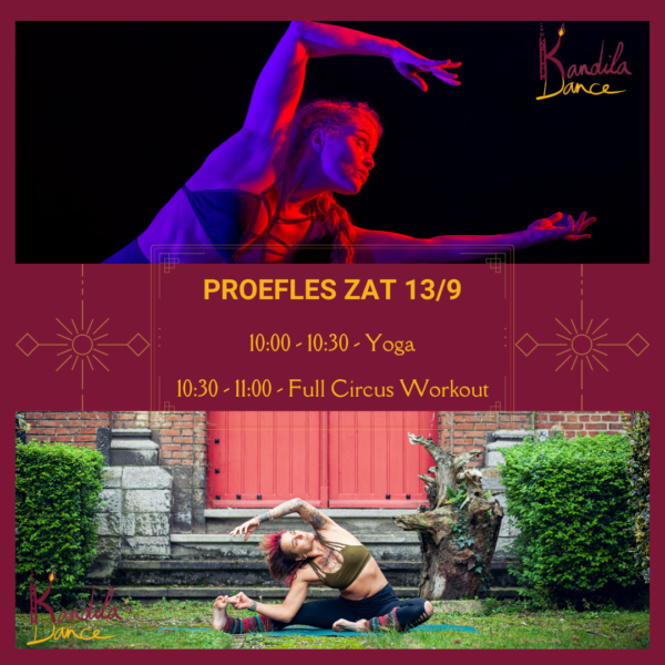 Proefles Yoga & Workout